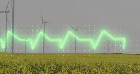 Displaying wind turbines rising above yellow flowering field, with green zigzag graph and grid dots