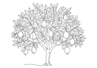 Lemon Tree Illustration.