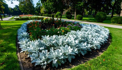 A vibrant flowerbed display in a park setting, featuring a ring of silvery-gray foliage plants.