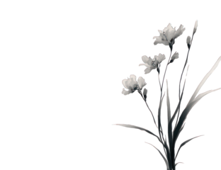 Monochromatic flower arrangement