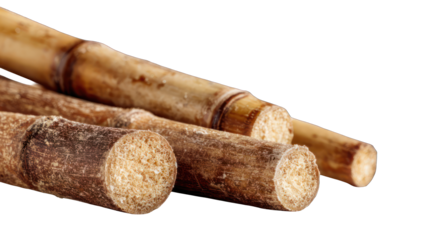 Close-up of bundled bamboo pieces