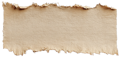 Ripped Cardboard Rectangle