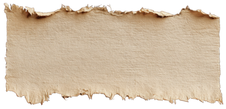 Ripped Cardboard Rectangle