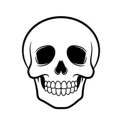 helloween human skull vector illustration
