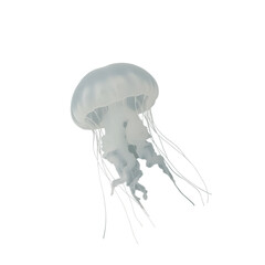 Ethereal Ghostly Jellyfish:  Isolated,  High-Resolution Studio Shot on Black Background. © mohammad