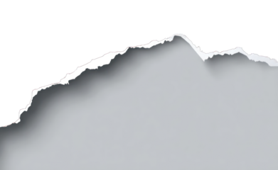 Ripped paper graphic.  A jagged edge of a ripped page