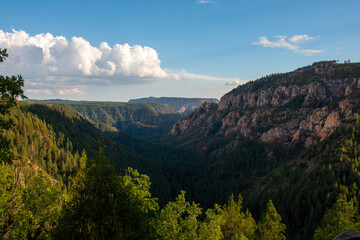Fototapeta premium Oak Creek Canyon in Arizona during early Fall 