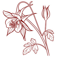 columbine origami red on white background 