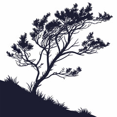 calluna vulgaris tree