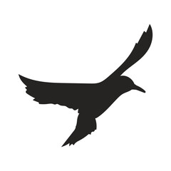 Detailed black silhouette of a flying seabird, a simple and elegant animal vector graphic isolated on a white background