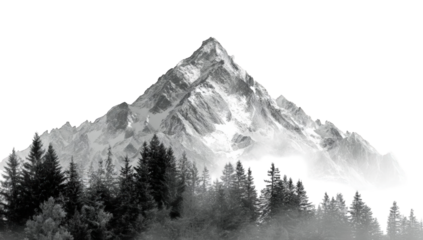 Snowy mountain peak with a forest base