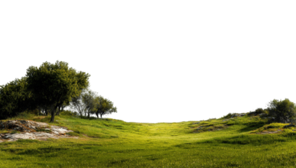 Lush green field with trees (1)