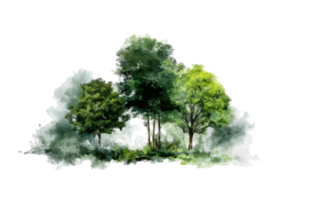 Watercolor-style illustration of trees within a cloud-like shape