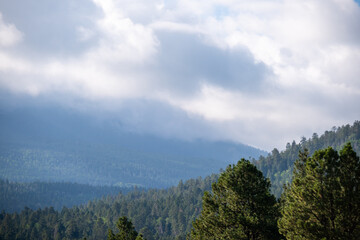 mountain landscape with blue sky in Flagstaff Forest