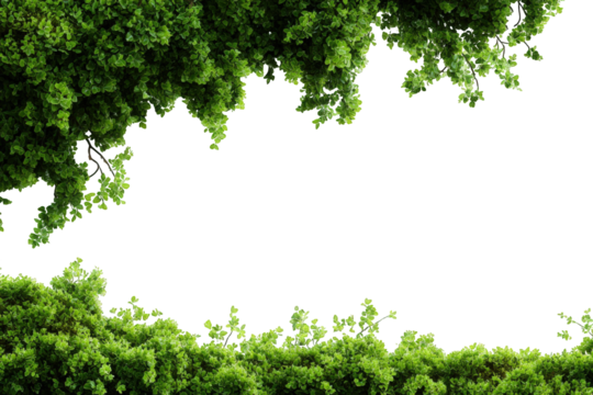 Lush green foliage framing a dark void (1)