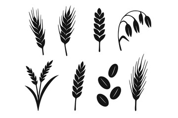 Black silhouette set of wheat ears, oats, rye, barley. Cereal grains and stalks vector icons. Agriculture, harvest concept. Food, bakery, organic plant elements collection.