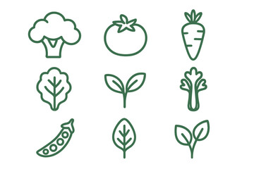 Vegetable line icon set. Healthy food, organic, vegan, plant-based diet concepts. Minimalist green outline symbols of broccoli, tomato, carrot, peas, celery, leaves, sprout.