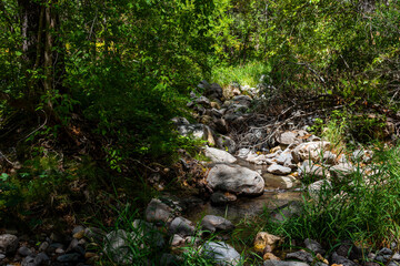 The river running through Sedona, surrounded by vibrant green grass.