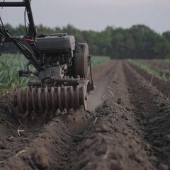 Small farm tractor preparing rows in field