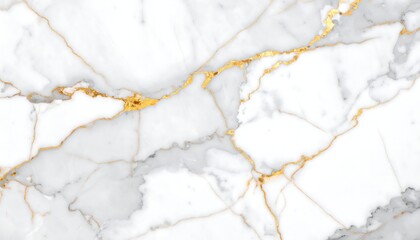 A detailed marble texture.  White and gray marble with gold veins