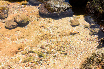 clear-shallow-water-over-pebbles-and-sand