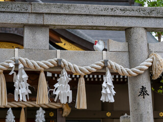 小戸神社の鳥居と注連縄