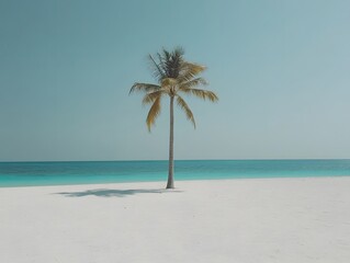 Serene Tropical Beach Scene, Single Palm Tree on White Sand and Turquoise Ocean