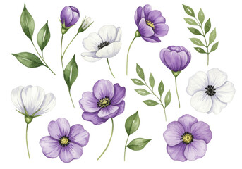 Elegant purple and white floral arrangement with green leaves for decorative use transparent background