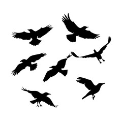 Collection of stylized black silhouettes of crows and ravens in various dynamic flying and perching poses against a clean white backdrop, evoking a sense of nature and freedom See Less