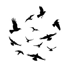 Collection of stylized black silhouettes of crows and ravens in various dynamic flying and perching poses against a clean white backdrop, evoking a sense of nature and freedom See Less