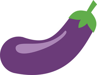 Eggplant vegetable, Fresh Purple Eggplant
