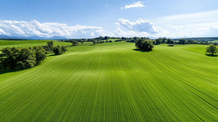 Obraz premium Vibrant green fields stretch under clear blue sky, showcasing nature beauty and tranquility