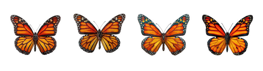 Monarch Butterfly PNG set collection, Vibrant orange and yellow insect art, detailed wings isolated on transparent background
