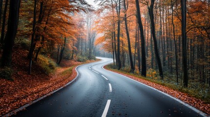 Fototapeta premium A winding asphalt road through an autumn forest with colorful leaves on the ground and fog in the air.