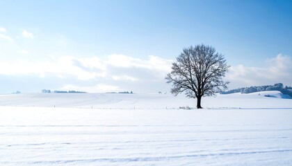 Winter field, solitary tree