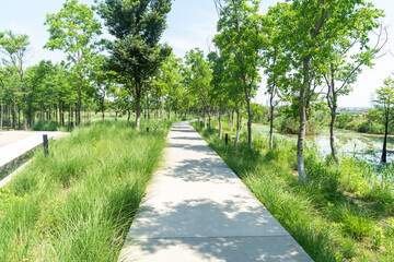 The road of City Park in China