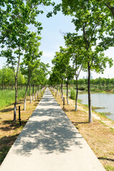 The road of City Park in China