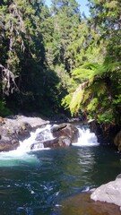 Fototapeta premium Forest Creek Waterfall View