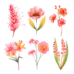 Watercolor floral collection with various pink and orange flowers on black background