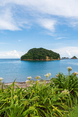 海岸の浜木綿と青い海に浮かぶ小島の自然風景