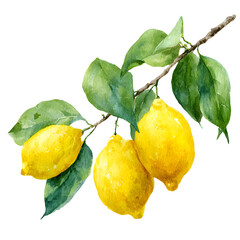 Watercolor lemons on a branch: Vibrant citrus illustration against black backdrop