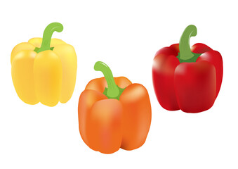 パプリカ 3色 野菜 イラスト ベクター