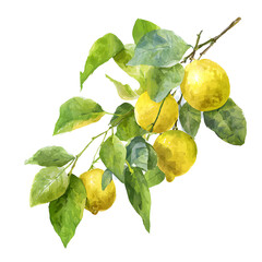 Watercolor illustration of a lemon branch with vibrant green leaves on black backdrop