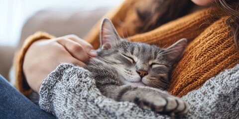 Cuddling with a pet on the sofa