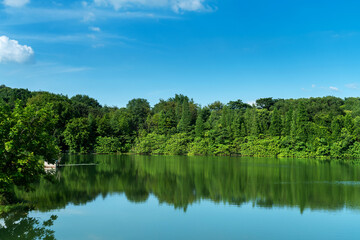 Obraz premium Lush greener around the pond in the park