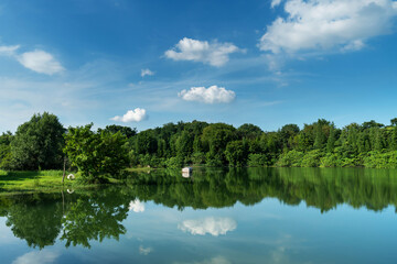 Fototapeta premium Lush greener around the pond in the park