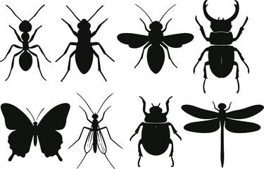 Insect silhouettes collection, detailed black shapes, ant, beetle, butterfly, dragonfly, mosquito, fly, taxonomy icons, biology graphics, nature elements
