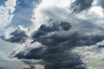 Fototapeta premium the dark clouds make the sky in black. The rain is coming soon.