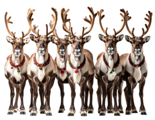 Santa’s Reindeer Group Standing in Line, Front View, Transparent PNG