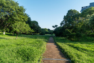 The road of City Park in China